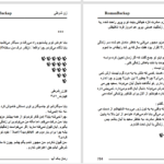 دانلود پی دی اف کتاب زن شرطی نیلوفر قائمی فر PDF