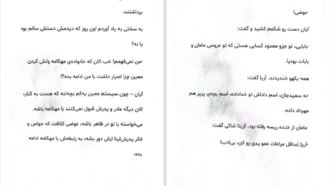 دانلود پی دی اف کتاب زن شرطی نیلوفر قائمی فر PDF