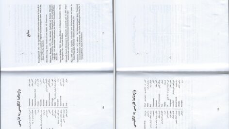دانلود پی دی اف کتاب روح تسخیر ناپذیر مایکل سینگر PDF