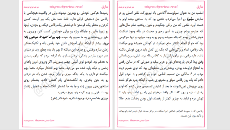 دانلود پی دی اف کتاب سارق ۵ پرتو فرهمند PDF