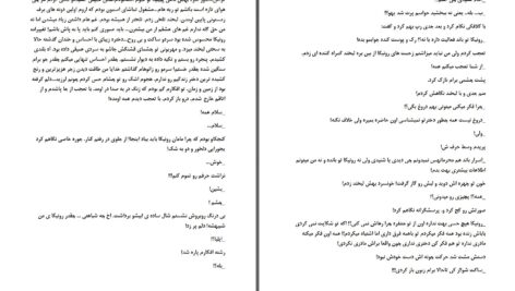 دانلود پی دی اف کتاب عشق در حین نفرت PDF