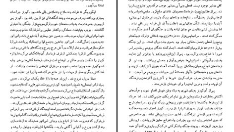دانلود پی دی اف کتاب تاریخ ادیان جلد پنجم دیانات و فرهنگ هایی در کمال سادگی و اوج پیچیدگی هاشم رضی PDF