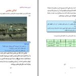 دانلود پی دی اف کتاب آموزش و سیاست ریشه یابی رادیکالیسم دینی در نصاب معارف افغانستان شهیر سیرتPDF