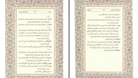 دانلود پی دی اف کتاب فرهنگ واژگان عرفانی در ادبیات فارسی فرشید اقبالPDF