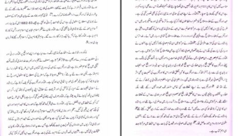 دانلود پی دی اف کتاب ھندوستان میں فارسی تاریخ نگاری پروفیسر شاه محمد وسیم PDF
