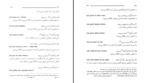 دانلود پی دی اف کتاب فرهنگ عامیانه گلباف محمدجواد اسدی گوکی PDF