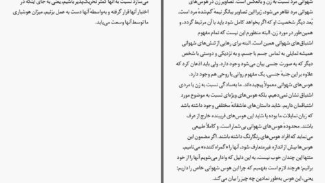 دانلود پی دی اف کتاب یار پنهان جان ا. سنفورد PDF