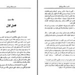دانلود پی دی اف کتاب فارس و جنگ بین الملل محمد حسین رکن زاده (آدمیت) PDF