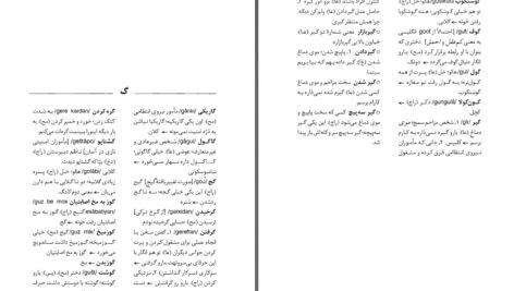 دانلود پی دی اف کتاب فرهنگ لغات زبان مخفی دکتر مهدی سمائی PDF