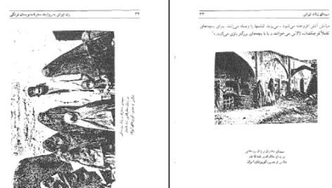 دانلود پی دی اف کتاب زن ایرانی میترا مهر آبادی PDF
