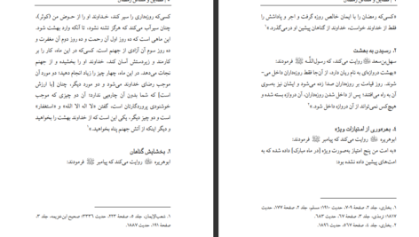 دانلود پی دی اف کتاب فضائل و مسائل رمضان حیدر حمیدPDF