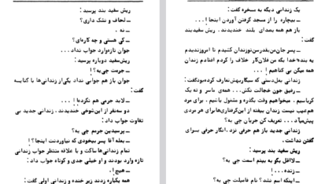دانلود پی دی اف کتاب آدم های بی شناسنامه عزیزنسین PDF