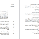 دانلود پی دی اف کتاب شوخی لهستانی دیوید آیوز PDF