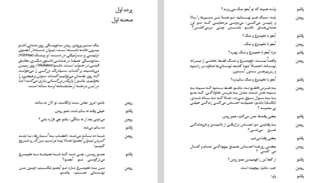 دانلود پی دی اف کتاب شوخی لهستانی دیوید آیوز PDF