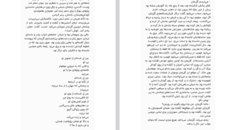 دانلود پی دی اف کتاب عشق های فراموش شده رابعه و بکتایش امیر عباسیان PDF