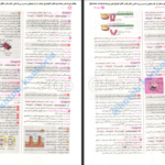 دانلود پی دی اف کتاب کنکوریوم تجربی جلد دوم PDF