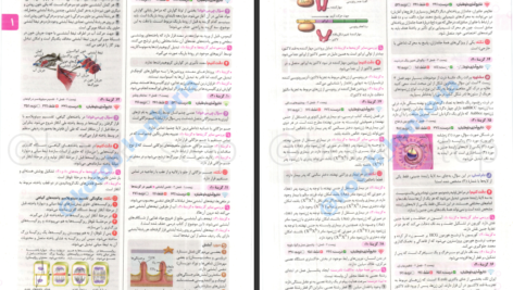 دانلود پی دی اف کتاب کنکوریوم تجربی جلد دوم PDF