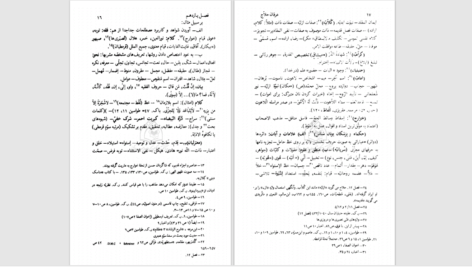 دانلود پی دی اف کتاب عرفان حلاج از لویی ماسینیون ترجمه ضیاالدین دهشیری PDF