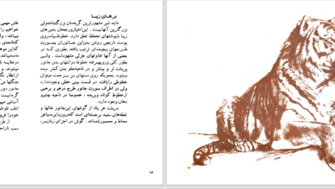 دانلود پی دی اف کتاب گربه سانان بزرگ دزموند موریس PDF