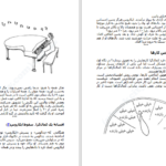 دانلود پی دی اف کتاب وسوسه های کمال گرایی میریام آدرهولد PDF