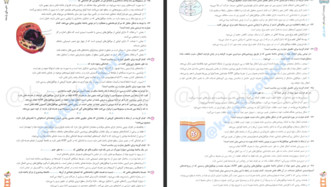 دانلود پی دی اف کتاب زیست دهم تجربی PDF