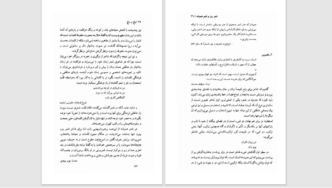 دانلود پی دی اف کتاب باغ در باغ  جلد اول PDF