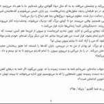 دانلود پی دی اف کتاب نگذار به بادبادک ها شلیک کنند فریده چیچک اوغلو PDF