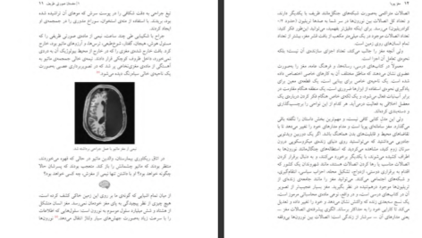 دانلود پی دی اف کتاب مغز پویا دیوید ایگلمن PDF