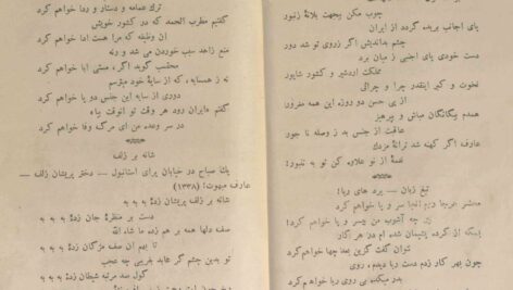 دانلود پی دی اف کتاب دیوان میرزا ابوالقاسم عارف قزوینی نوروز جمشیدی PDF