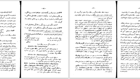 دانلود پی دی اف کتاب فرویدیسم با اشاراتی به ادبیات و عرفان  PDF