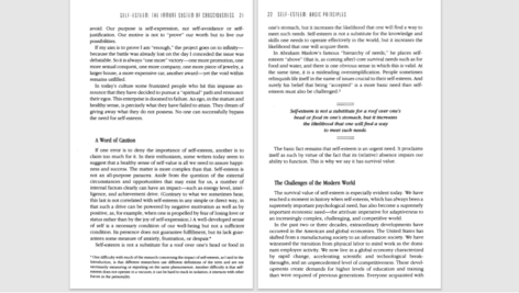 دانلود پی دی اف کتاب The Six Pillars of Self Esteem The Definitive Work on Self Esteem PDF