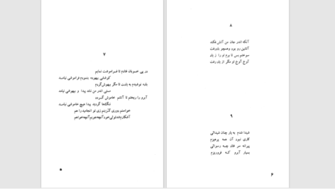 دانلود پی دی اف کتاب نیلوفری از جنس تنهایی نیلو امیری PDF