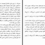 دانلود پی دی اف کتاب فروشنده ی دوره گرد پتر هاندکه PDF