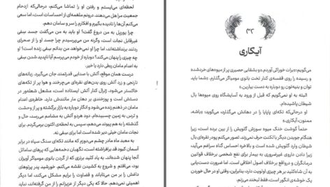 دانلود پی دی اف کتاب دختری که بال در آورد آنا واترورث PDF