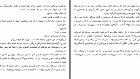 دانلود پی دی اف کتاب عذاب شبانه ماریکه لوکاس رینه فلت PDF