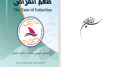 دانلود پی دی اف کتاب طعم انقراض شهرزاد رحمتی PDF