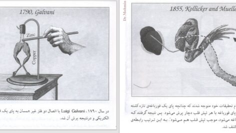 دانلود پی دی اف کتاب خواندن فوری الکتروکاردیوگرام دیل دوبین PDF