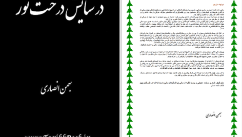 دانلود پی دی اف کتاب در ستایش درخت نور بهمن انصاری PDF
