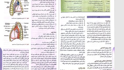 دانلود پی دی اف کتاب آناتومی انسان چوراسیا جلد1 ترجمه دکتر رضا شیرازی PDF