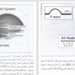 دانلود پی دی اف کتاب خواندن فوری الکتروکاردیوگرام دیل دوبین PDF