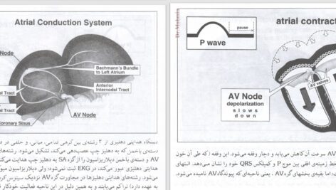 دانلود پی دی اف کتاب خواندن فوری الکتروکاردیوگرام دیل دوبین PDF