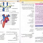 دانلود پی دی اف کتاب آناتومی انسان چوراسیا جلد1 ترجمه دکتر رضا شیرازی PDF