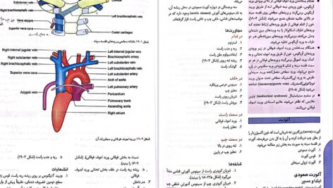 دانلود پی دی اف کتاب آناتومی انسان چوراسیا جلد1 ترجمه دکتر رضا شیرازی PDF