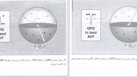 دانلود پی دی اف کتاب خواندن فوری الکتروکاردیوگرام دیل دوبین PDF