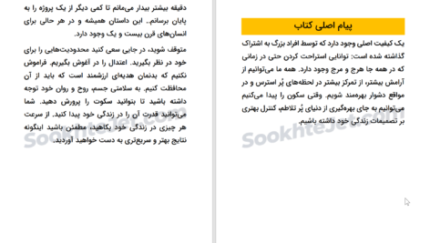دانلود پی دی اف کتاب سکون مهم است رایان هالیدی PDF