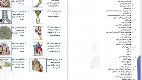 دانلود پی دی اف کتاب آناتومی انسان چوراسیا جلد1 ترجمه دکتر رضا شیرازی PDF