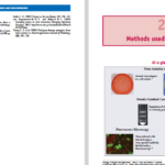 دانلود پی دی اف کتاب PDF Joseph Osmundson Virology
