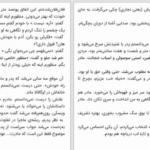 دانلود پی دی اف کتاب در میان گمشدگان دن شاون PDF