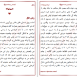 دانلود پی دی اف کتاب ریپر۲  پرتو فرهمند PDF