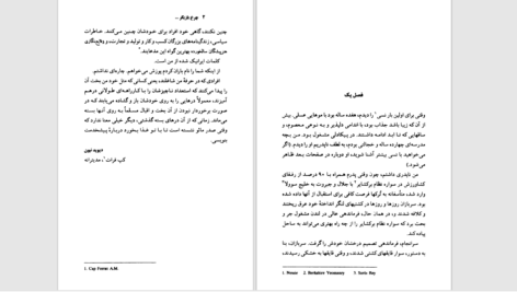 دانلود پی دی اف کتاب چرخ بازیگر دیوید نیون PDF
